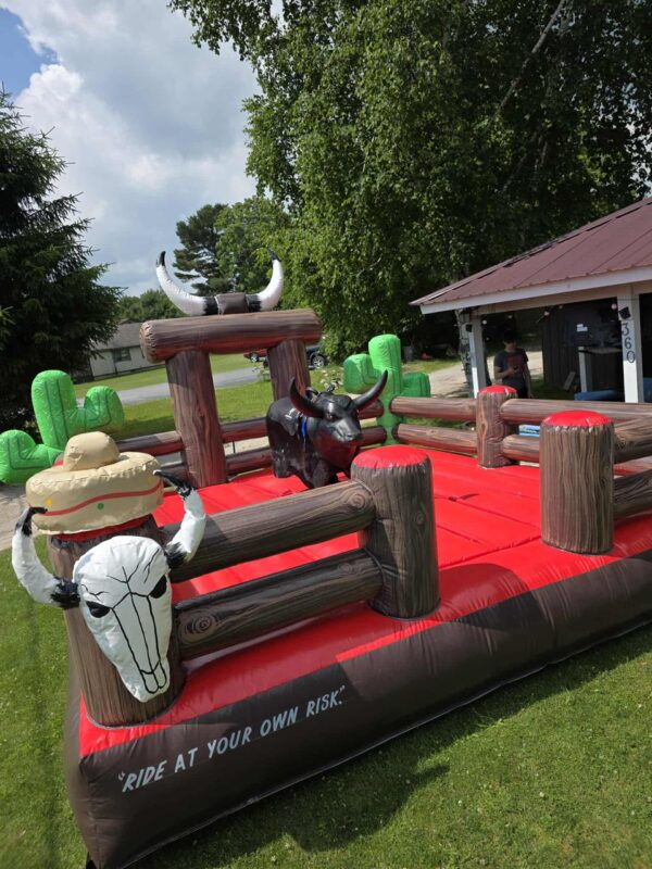 Mechanical bull