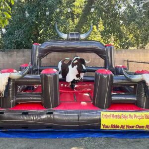 Mechanical bull