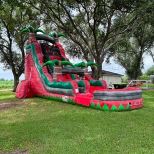 Incredible Dual Lane Water Slide