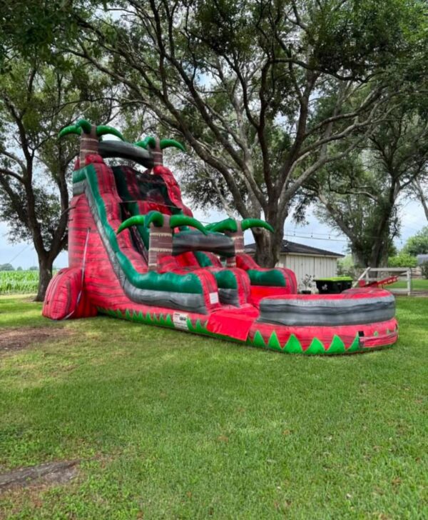 Incredible Dual Lane Water Slide